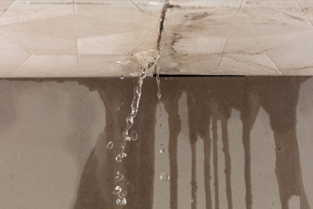 Professional Flood Damage Cleanup technician working in Pewamo, MI